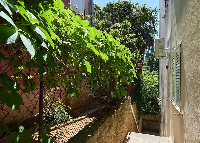 Golden Rose - Walking Distance 1 Km From Old Town Apartman