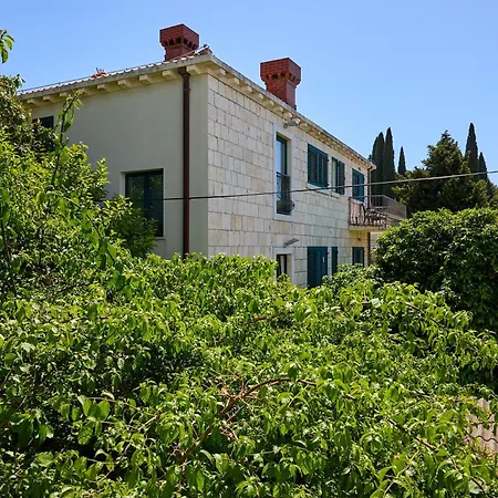 Appartement Golden Rose - Walking Distance 1 Km From Old Town